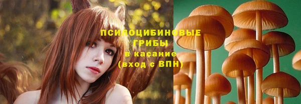 PSILOCYBIN Абдулино