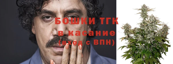 PSILOCYBIN Абдулино