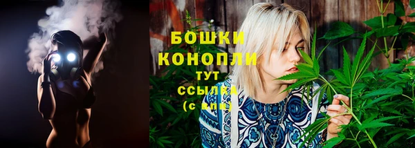PSILOCYBIN Абдулино